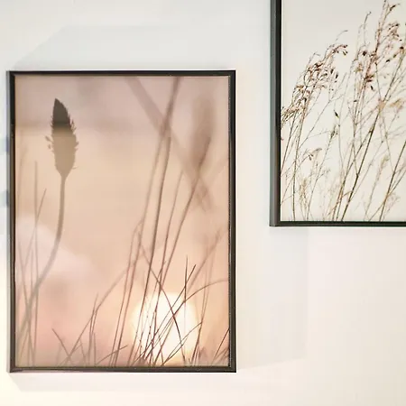 Newvision In Infinity - Parking * Mamaia